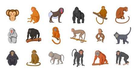 Monkey icon set, cartoon style - obrazy, fototapety, plakaty