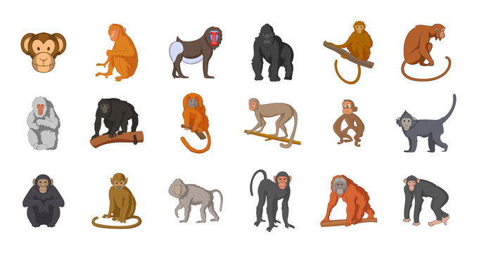 Monkey icon set, cartoon style