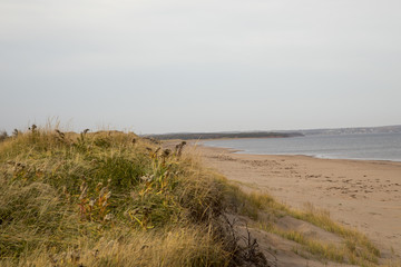 Fototapeta na wymiar Empty dunes on coast of Prince Edwards Island