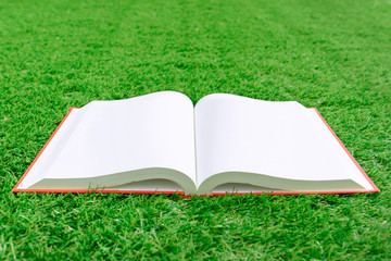 Open book on green grass