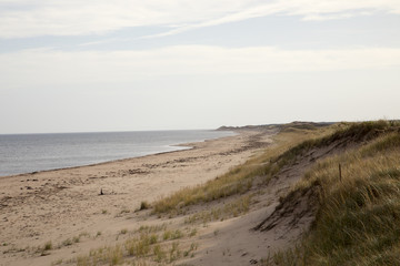 Fototapeta na wymiar Dunes on coast of Prince Edwards Island
