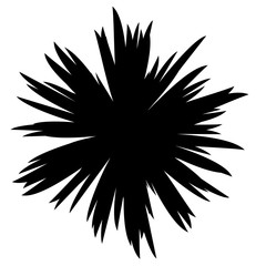 Black and White Flowers Silhouette