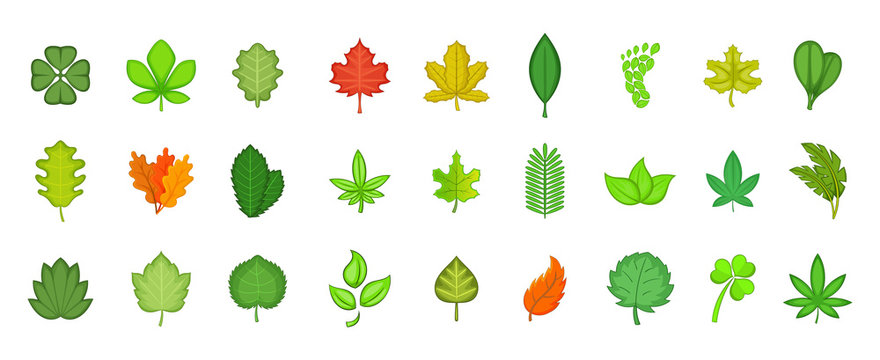 Leaf Cartoon Images – Browse 873,713 Stock Photos, Vectors, and Video |  Adobe Stock