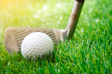 Golf club and ball on green grass