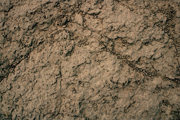 Volcanic Igneous Lava Pitted Rock