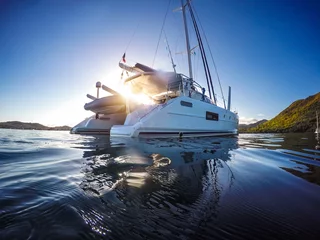 Foto op Plexiglas Zeiljacht catamaran zeilen in de Caribische zee © _italo_