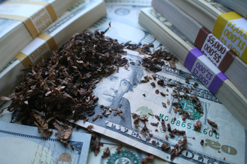Tobacco's Big Profits With Tobacco Spread Out In Middle Of Stacks Of Money On Twenty Dollar Bill...