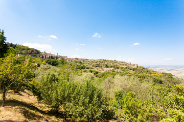 Montalcino view, tuscany, Italy