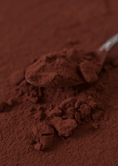 cocoa powder in a spoon
