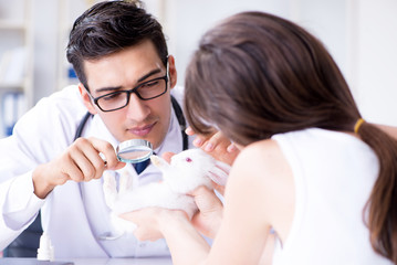 Woman with pet rabbit visiting vet doctor