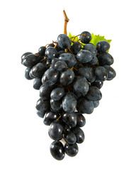 blue grapes isolated on white