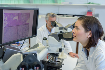 Fototapeta premium Nurse looking at computer screen