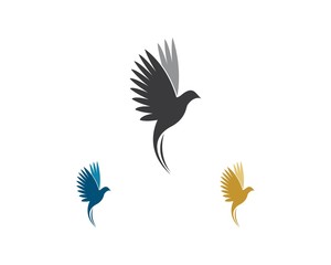 Bird Logo Template