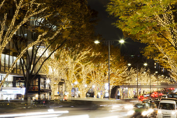 Fototapeta premium Omotesando winter illumination 2017