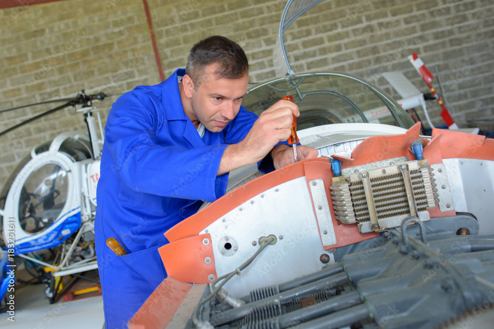 Wall mural aircraft engine assembler