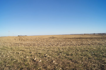 Corn Field Harvested