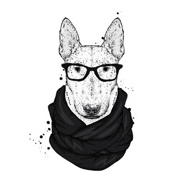 Bullterrier in a stylish hat, scarf and glasses. A pedigree dog in clothes and accessories. Fashion & Style. Vector illustration.