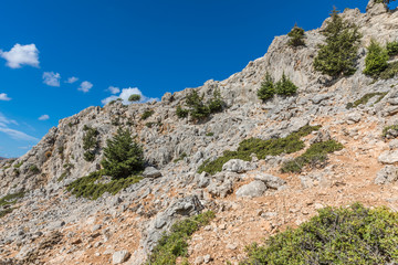 Fototapeta na wymiar Stony landscape of the Tsambika mountain on the Rhodes Island, Greece