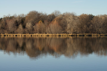 Fototapeta na wymiar Lake tree Relection