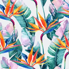 Behang Aquarel tropische naadloze patroon met paradijsvogel bloem. © Tanya Syrytsyna