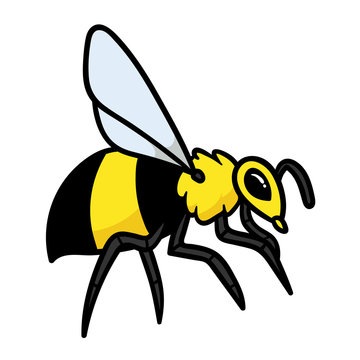 Cartoon Bee or Wasp or Hornet Vector Illustration
