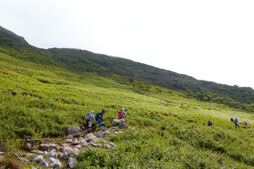 Obraz premium 伊吹山