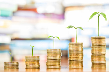 Tree growing on one dollar coins arranged as a graph on wood table with pile of books as background, concept of educational advancement and saving money