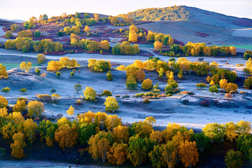 The autumn steppe sunrise landscape.