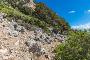 Stony landscape of  the Tsambika mountain on the Rhodes Island, Greece