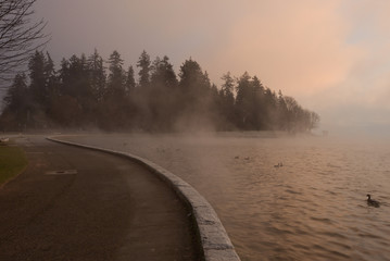 Morning mist over the seawall on stanley park vancouver canada