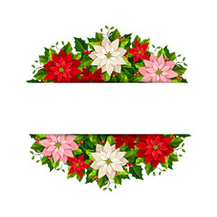 Vector Christmas banner with red, pink and white poinsettia flowers, holly and mistletoe.