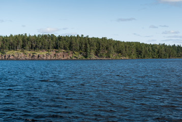Coast and forest on the coast