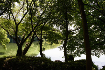 山田池公園