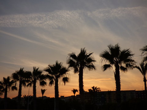 Villajoyosa​,municipio de la Comunidad Valenciana, Espa&ntilde;a. Perteneciente a la provincia de Alicante y situado en la Costa Blanca