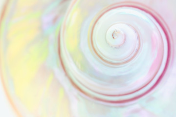 Spiral of Mother of pearl sea shell close up background