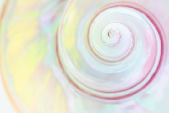 Spiral of Mother of pearl sea shell close up background