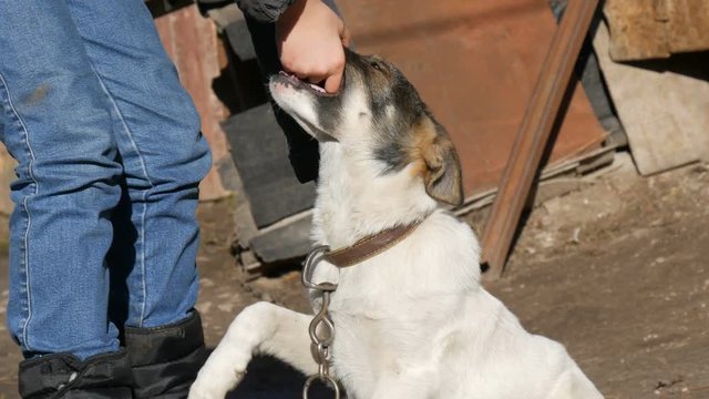 Teenager in jeans and a jacket plays with a puppy on a chain