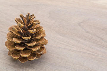 pine cone on grained wood