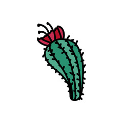 Cactus hand drawn icon 