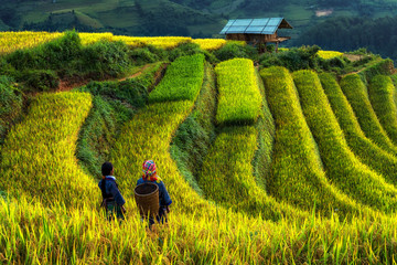 Deux Hmong vietnamiens indéfinis se promènent dans le paysage fantastique de la rizière en terrasse pour préparer la récolte au lever du soleil au nord-ouest du Vietnam. Mu Cang Chai, province de Yen Bai, Vietnam