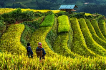 Photo sur Plexiglas Mu Cang Chai Deux Hmong vietnamiens indéfinis se promènent dans le paysage fantastique de la rizière en terrasse pour préparer la récolte au lever du soleil au nord-ouest du Vietnam. Mu Cang Chai, province de Yen Bai, Vietnam