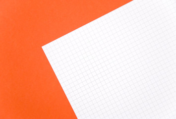 Blank Graph Paper on a Bold Background