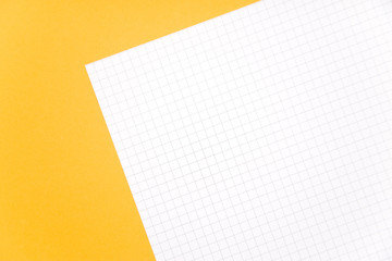 Blank Graph Paper on a Bold Background