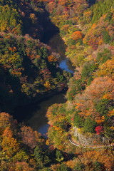 Autumn in Ibaraki Prefecture, Japan