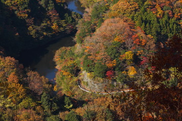 Autumn in Ibaraki Prefecture, Japan