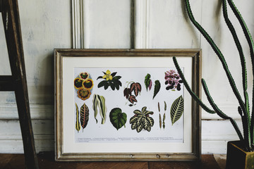 Picture go hand drawing flowers collection in a frame
