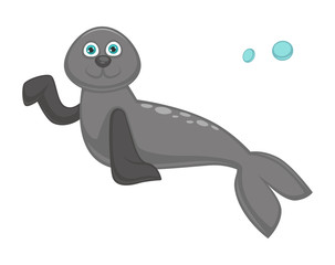 Seal baby with big blue eyes and long flippers