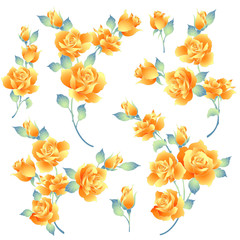 バラのイラスト素材