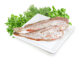 Uncooked red cod on white dish and herbs