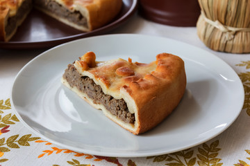 Piece of homemade pie with beef